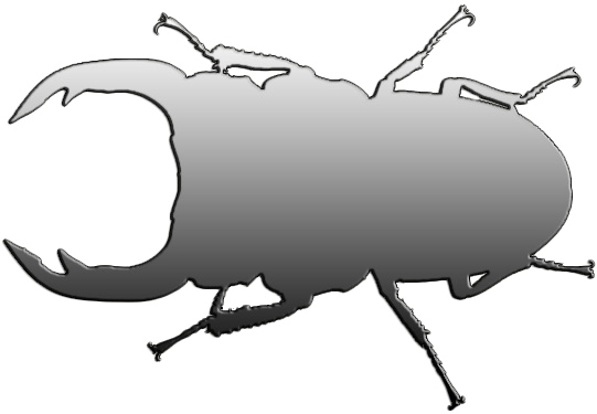 神埼産オオクワガタ オス単品79.2mm！ - DORCUS Communications