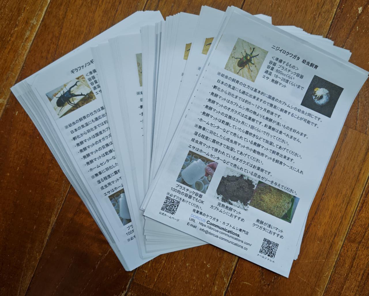 出店の際、幼虫飼育説明書や当店名刺をご自由にお持ち帰りいただけます。