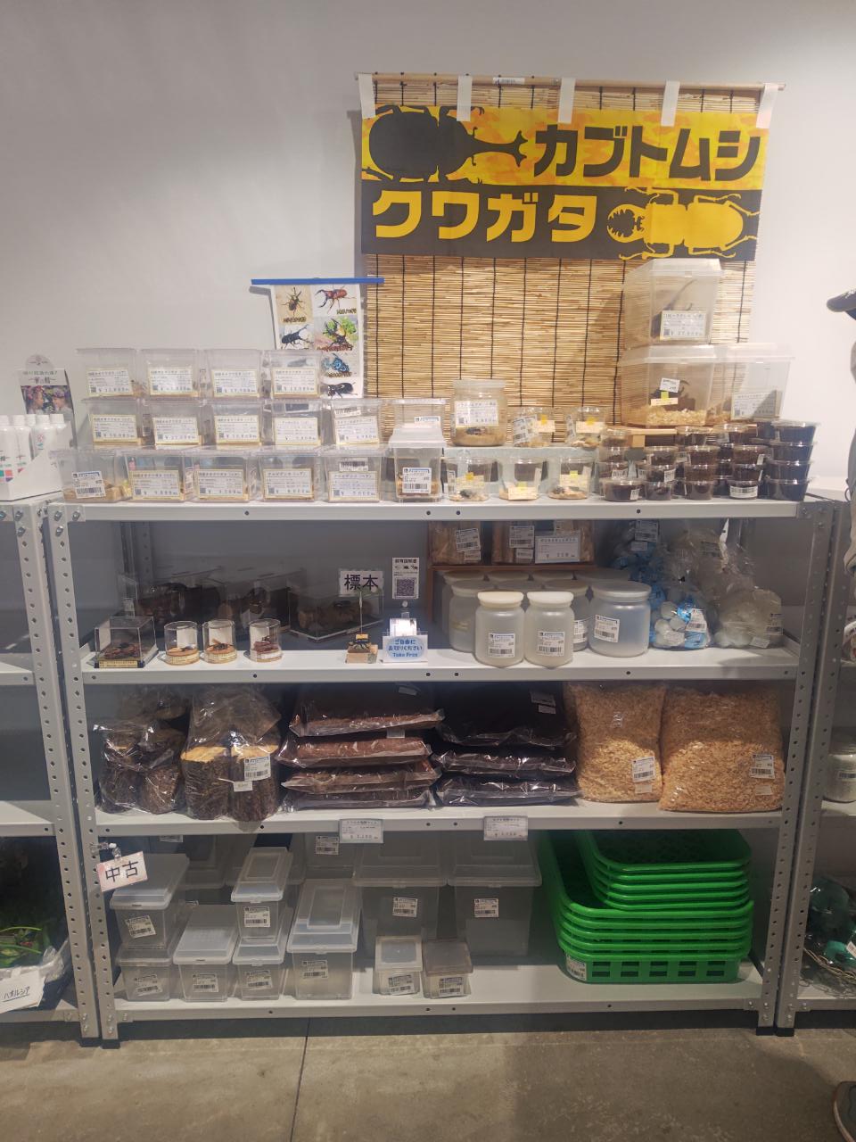 １２月１６日：道の駅かみみねさんへ　おしらせ☆