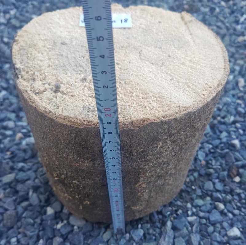 ブナ材 LLサイズ! - 画像 (2)