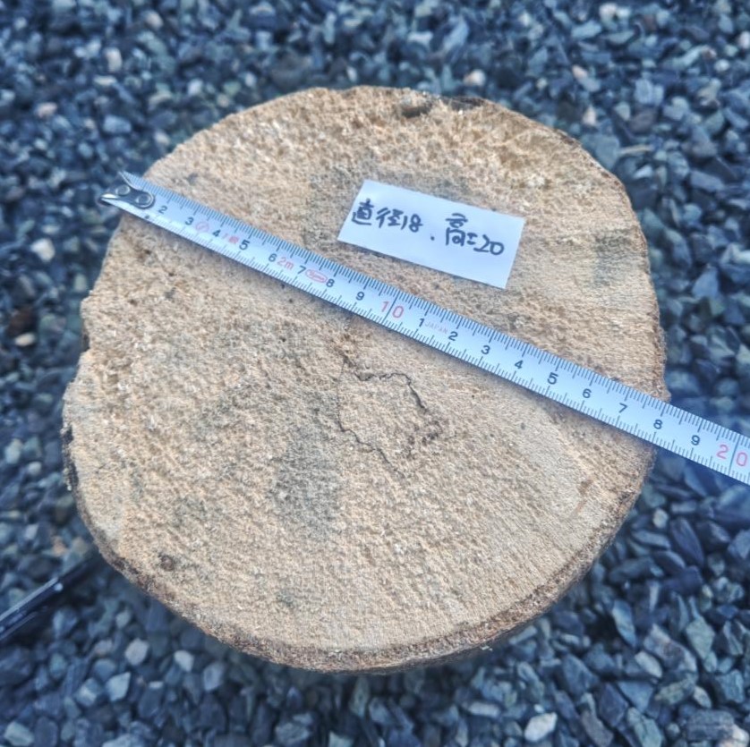 ブナ材 LLサイズ!