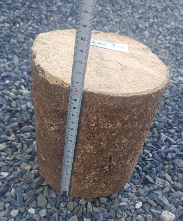 ブナ材 LLサイズ! - 画像 (2)