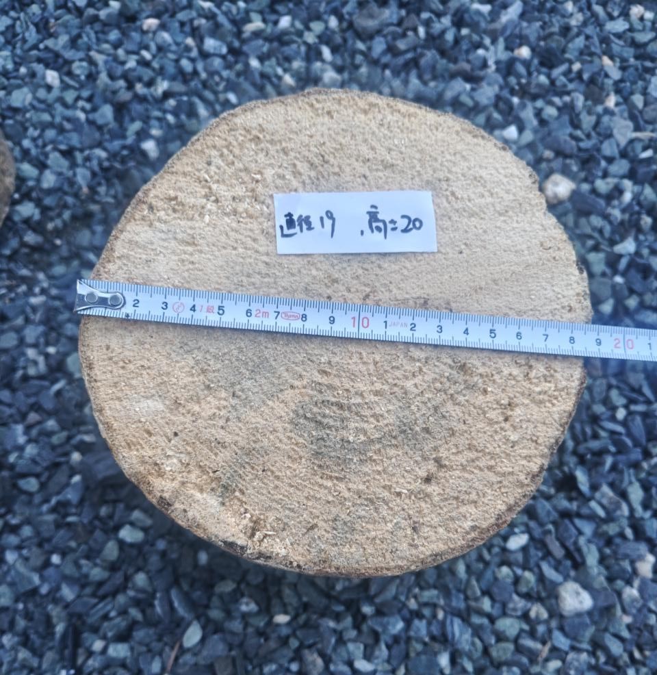 ブナ材 LLサイズ!