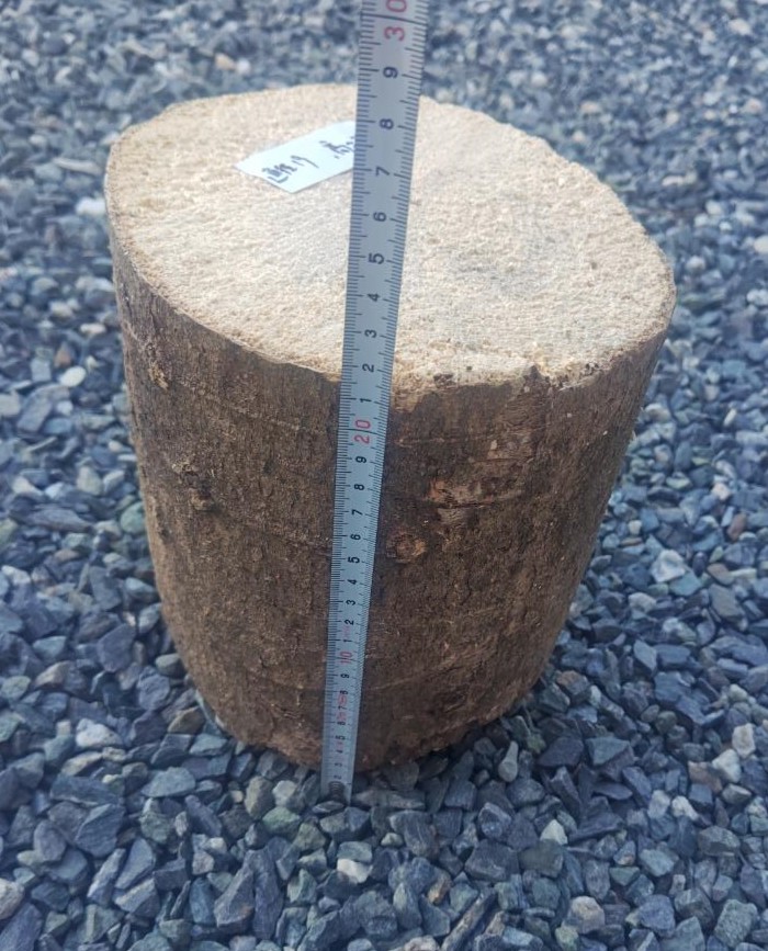 ブナ材 LLサイズ! - 画像 (2)