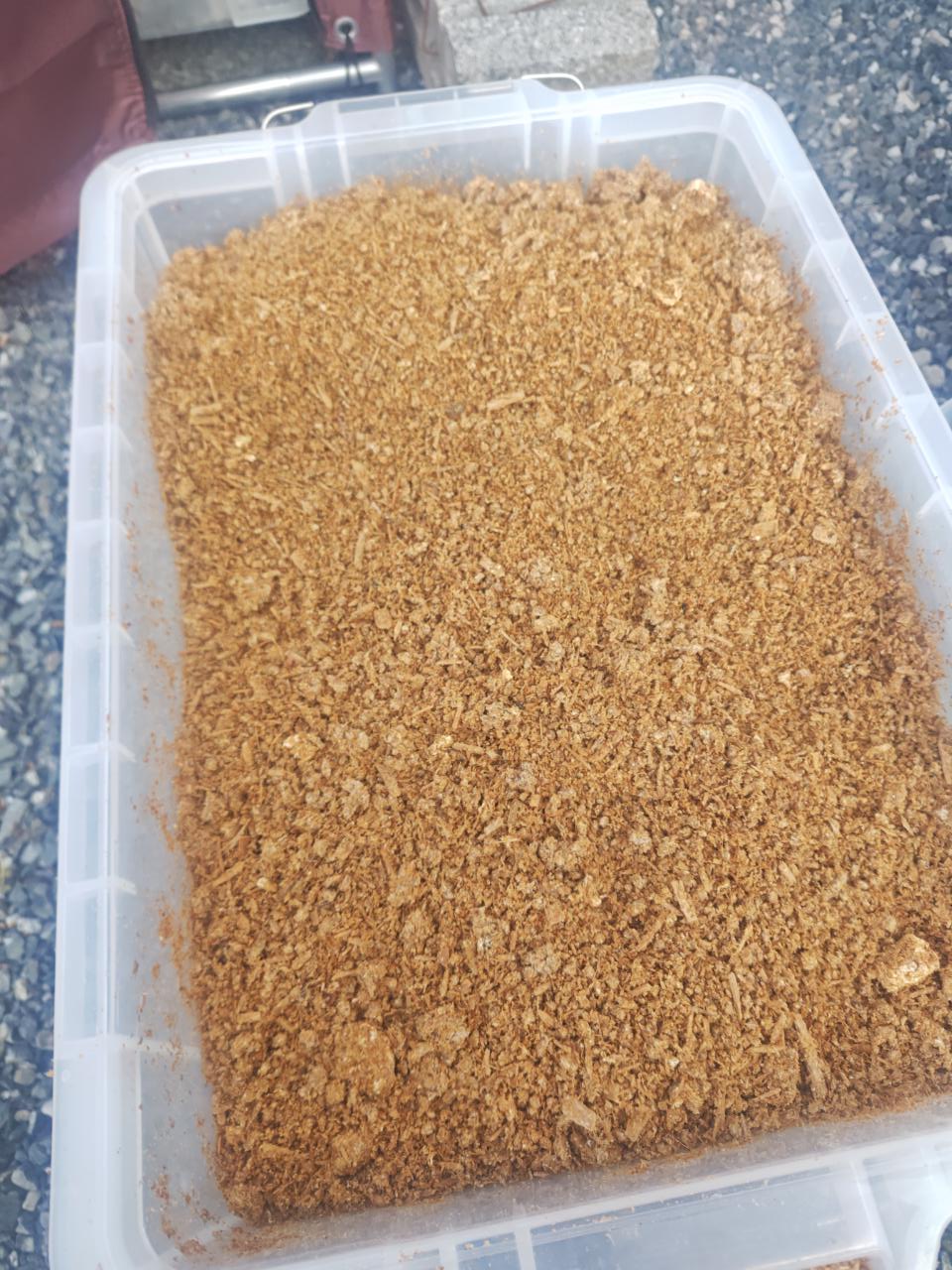 マイタケ廃菌床