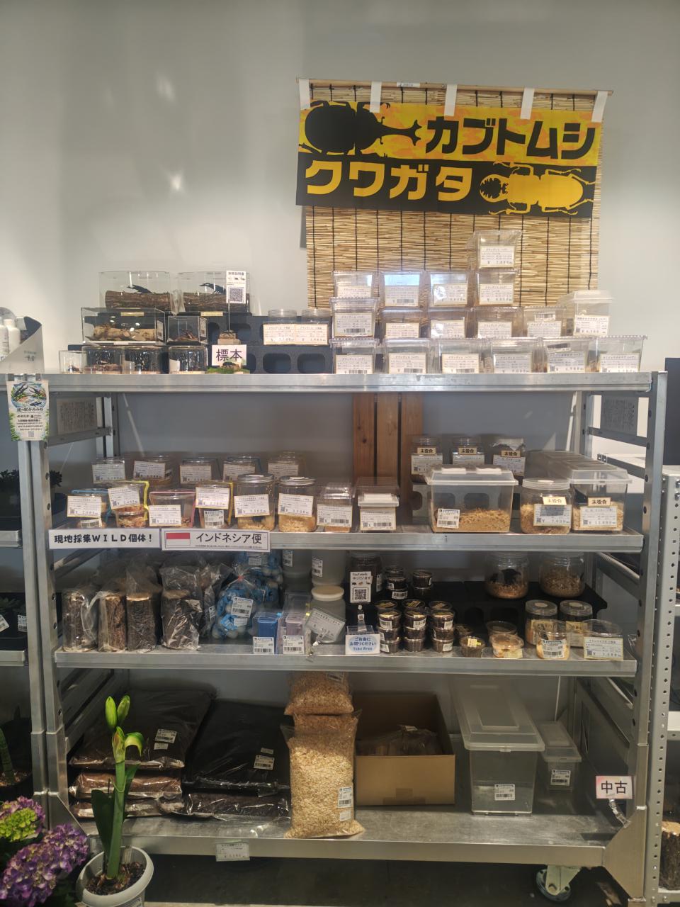 ４月１６日：道の駅かみみねさんへ　おしらせ☆