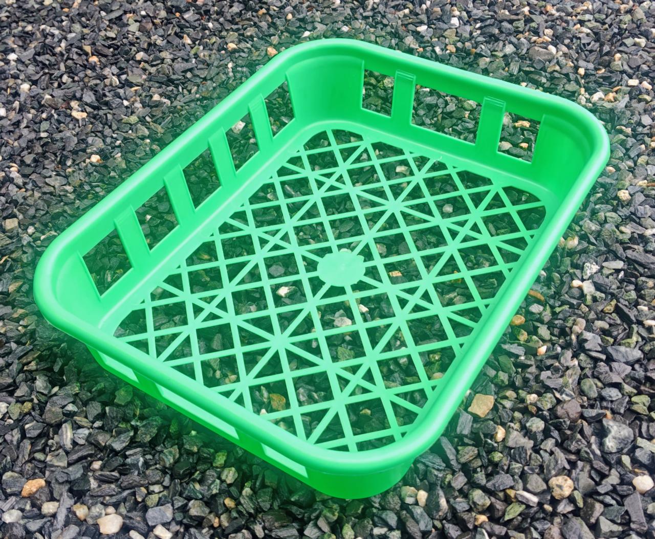 コンテナ　12本用