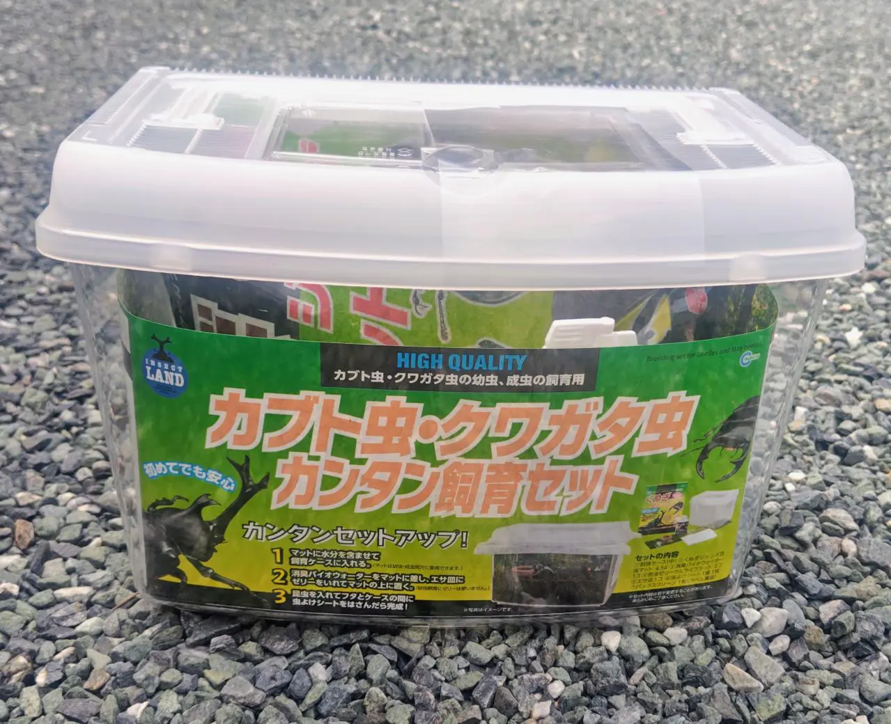 羊*虫様 ４枚セット　汚染された三角州/Polluted Delta ONS DORCUS Communications. - 佐賀県のクワガタ・カブトムシ専門店