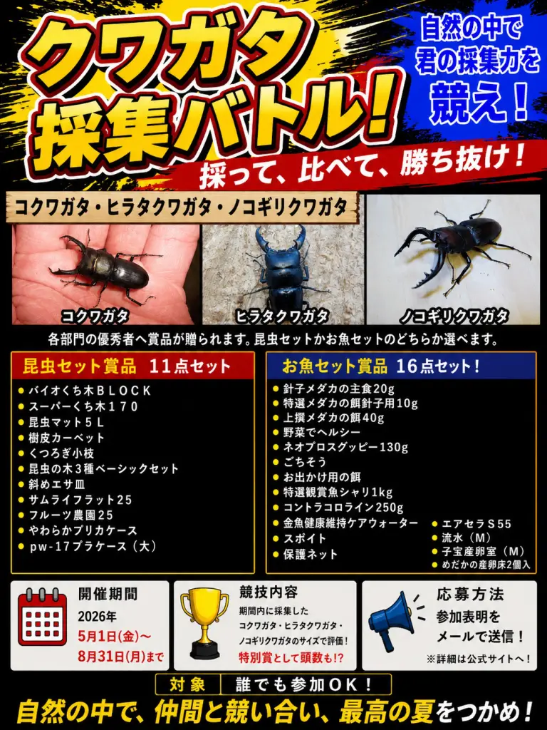 クワガタ・カブトムシ飼育・採集バトル！ - DORCUS Communications